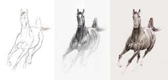 Inspiration for War Horse by Michael Morpurgo