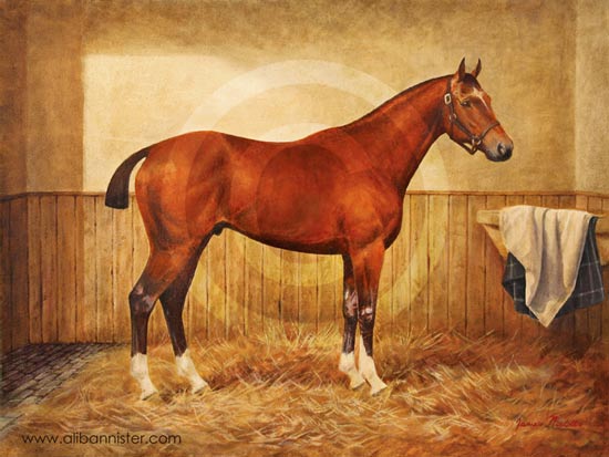 Joey Painting Warhorse - buy signed prints